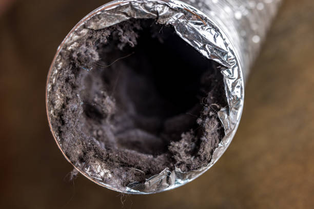 Best Local Air Duct Cleaning Services  in Lagrange, OH